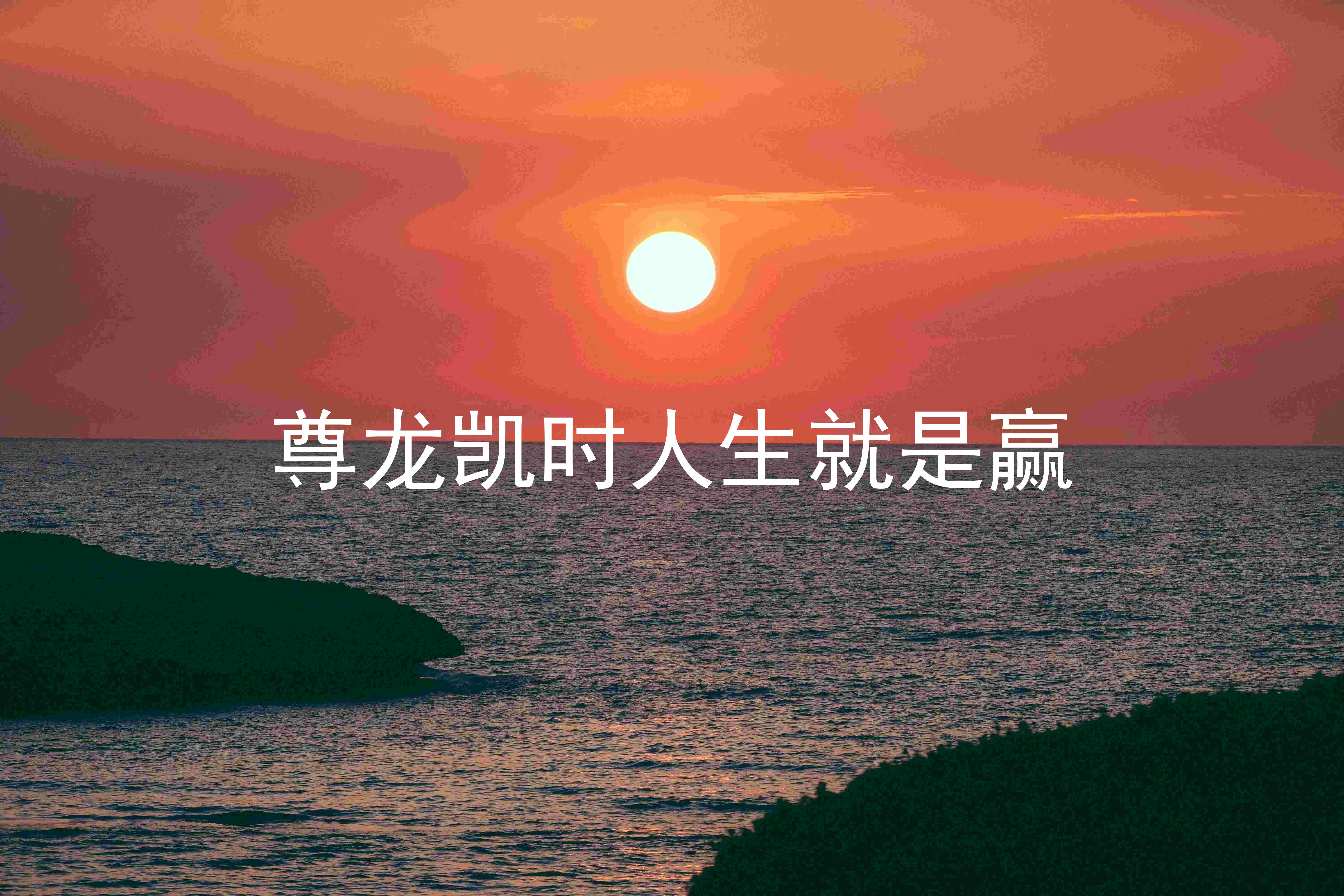 尊龙凯时人生就是赢
