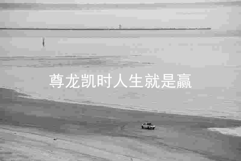 尊龙凯时人生就是赢