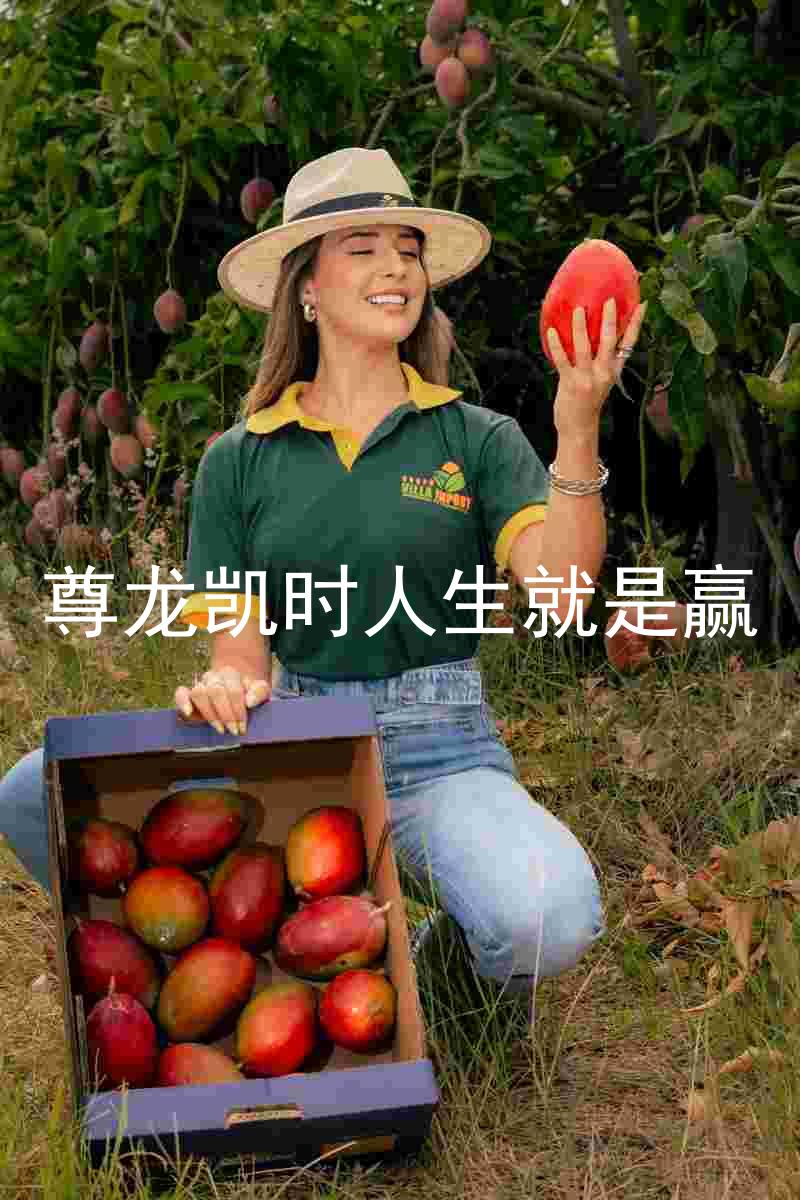 尊龙凯时人生就是赢