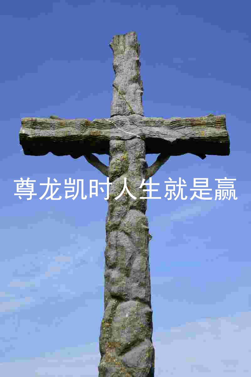尊龙凯时人生就是赢