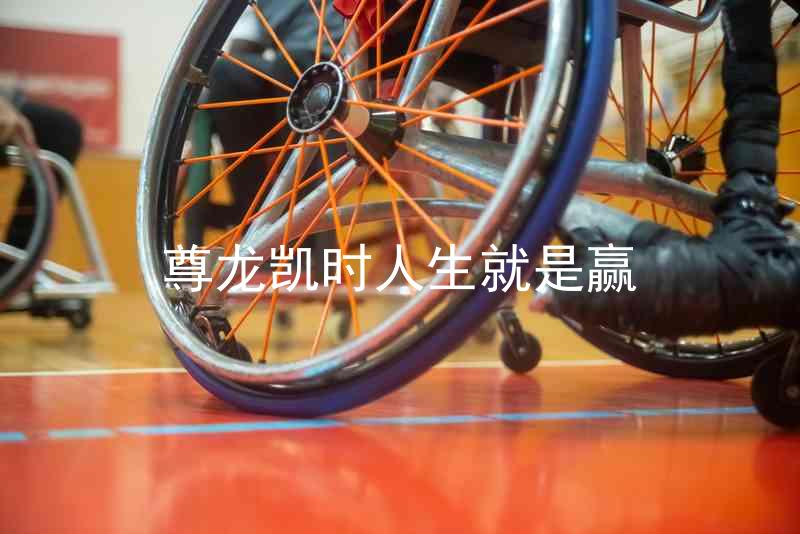 尊龙凯时人生就是赢