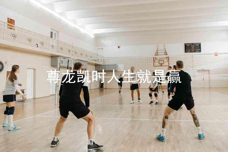 尊龙凯时人生就是赢