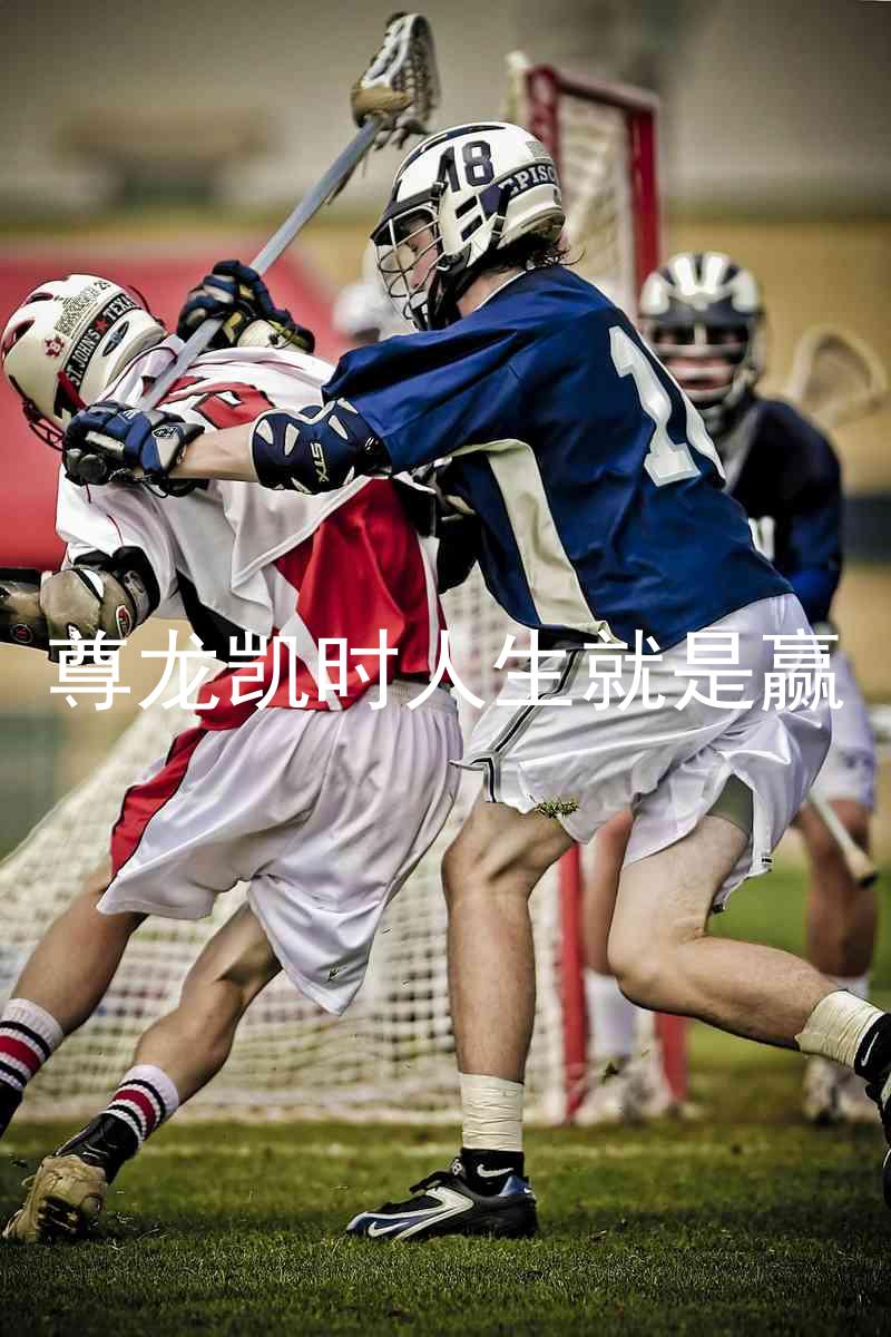 尊龙凯时人生就是赢