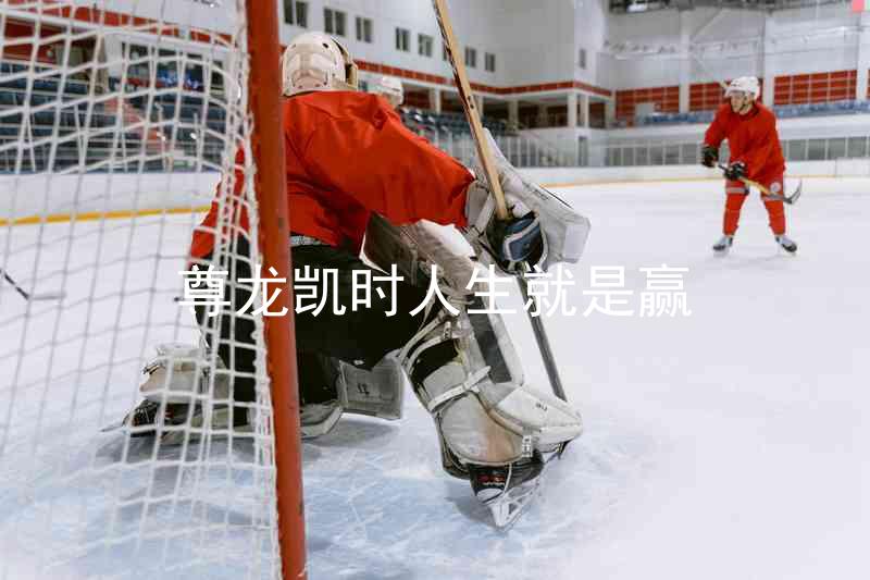 尊龙凯时人生就是赢
