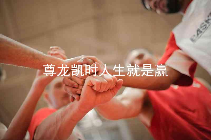 尊龙凯时人生就是赢
