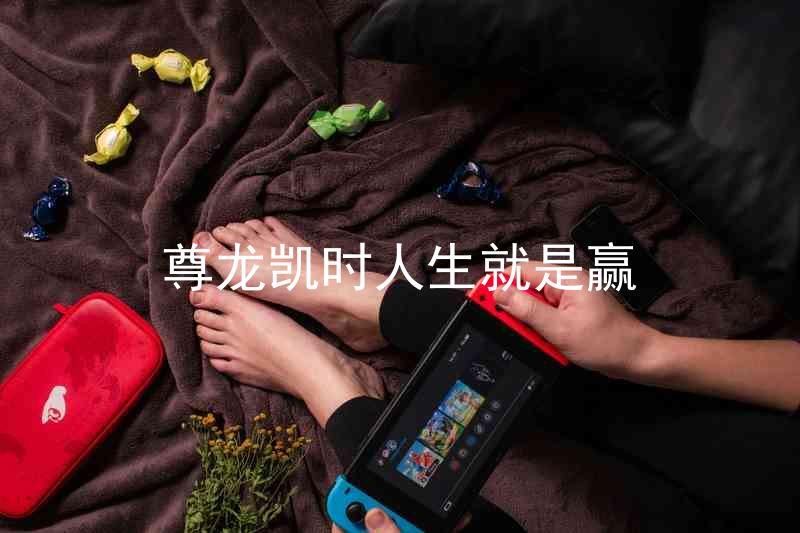 尊龙凯时人生就是赢