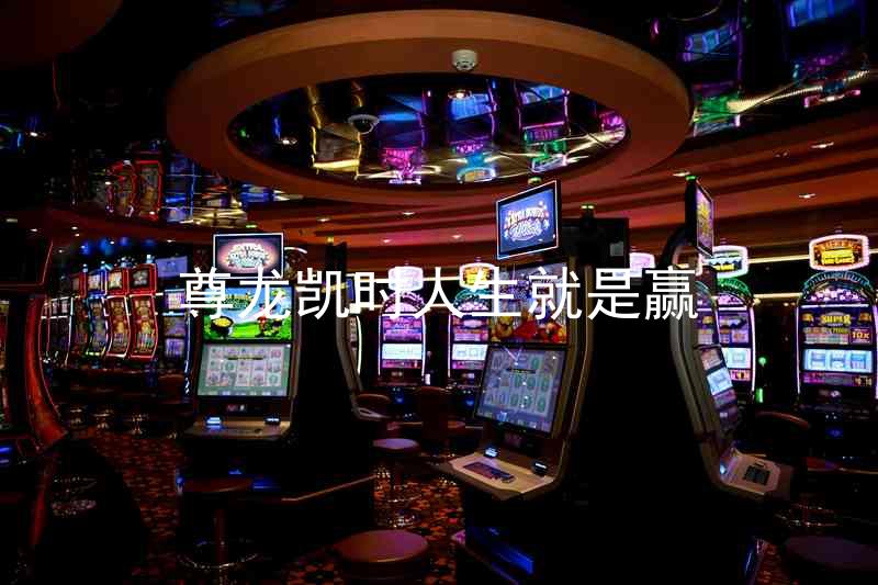 尊龙凯时人生就是赢