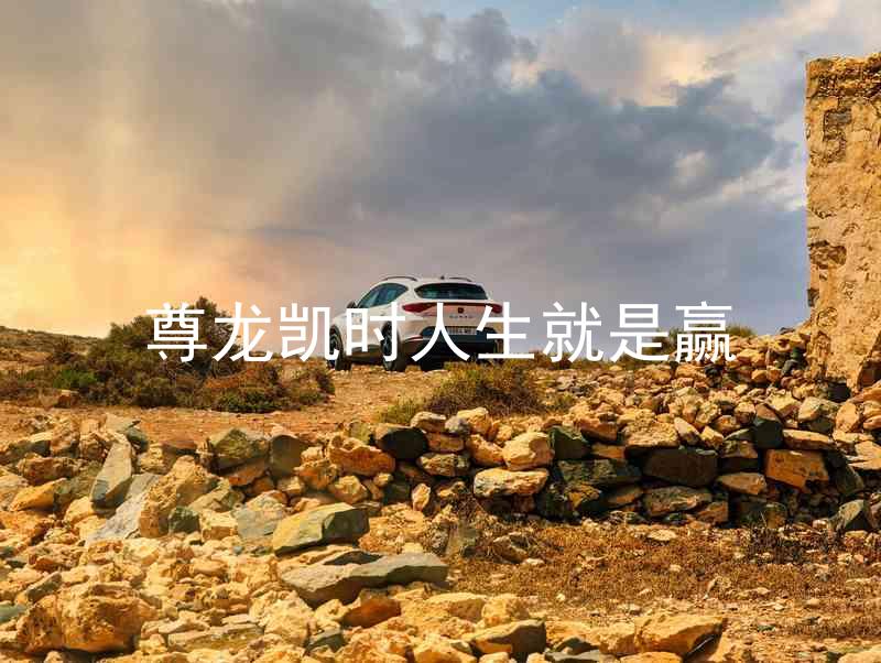 尊龙凯时人生就是赢