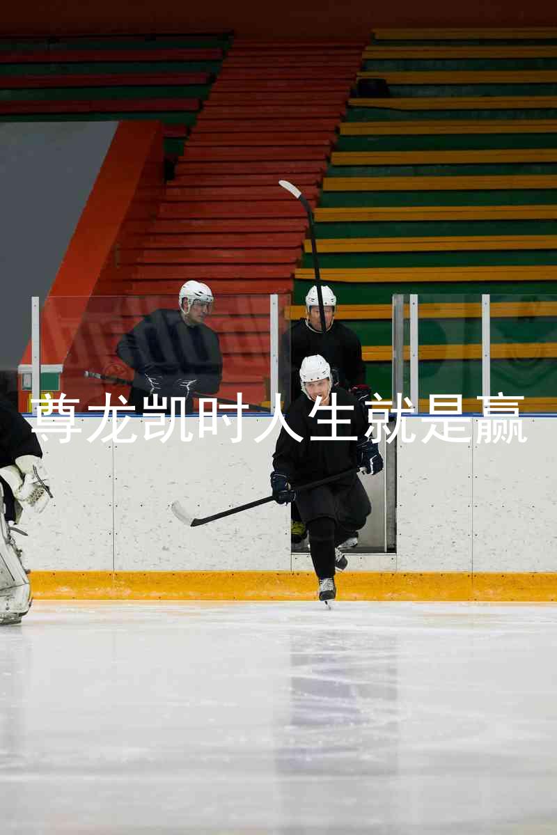 尊龙凯时人生就是赢